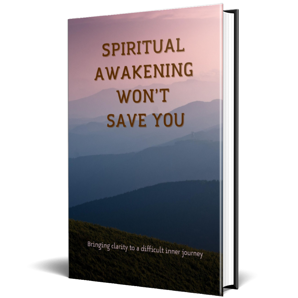 Spiritual Awakening Won’t Save You (English edition)