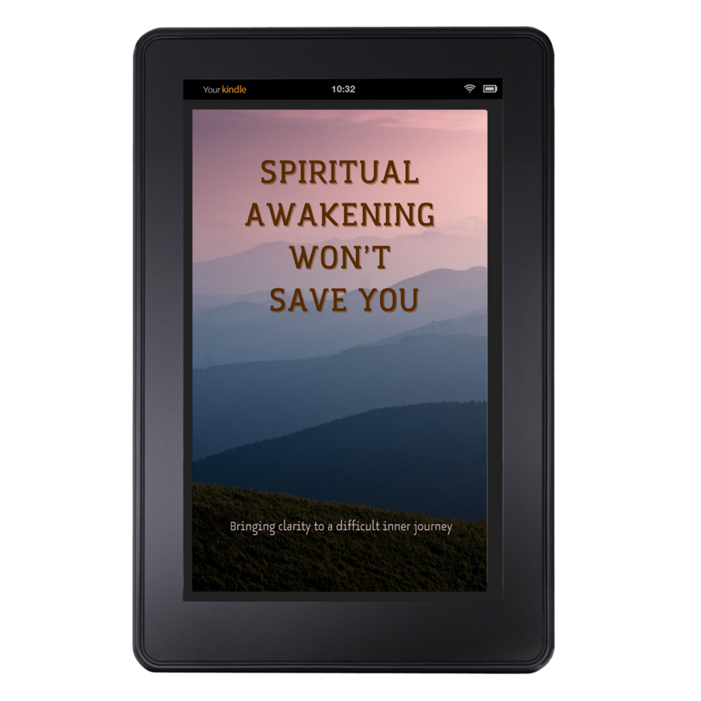 Spiritual Awakening Won’t Save You (English edition)