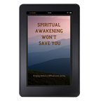 Spiritual Awakening Won’t Save You (English edition)
