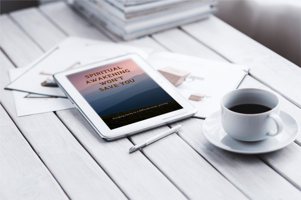 Spiritual Awakening Won’t Save You (English edition)